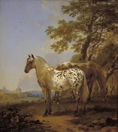 Two Horses in a Landscape, by Unknown
