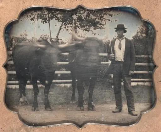 Two Oxen and Driver, by Unknown