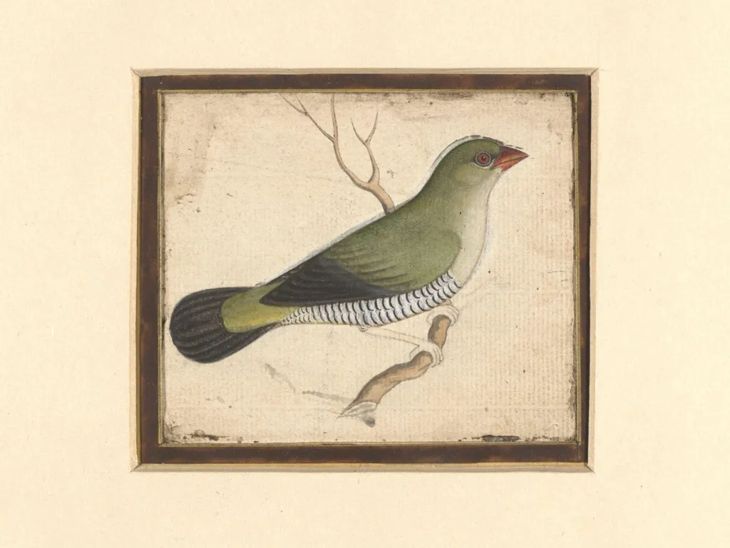 Two paintings of birds on a single sheet, by Unknown, watercolor, 1830
