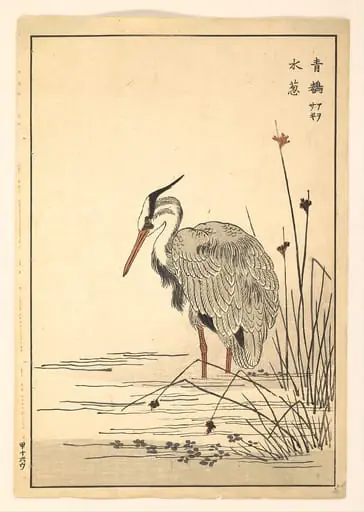 Untitled, by Unknown