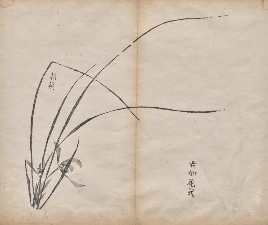 Untitled, by Unknown, 1625