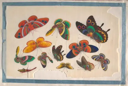 Untitled, by Unknown, 1849