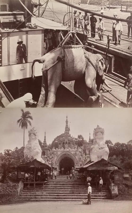Untitled: (elephant being loaded onto a ship, recto); (steps and building, verso), by Unknown, 1880