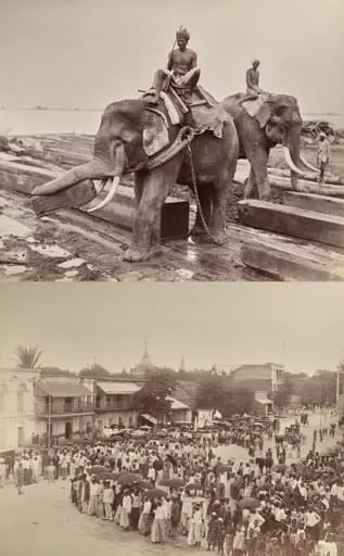 Untitled: (elephants moving blocks of wood, recto); (procession or crowd, verso), by Unknown