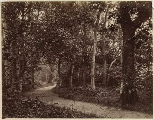 Untitled (Landscape), by Unknown