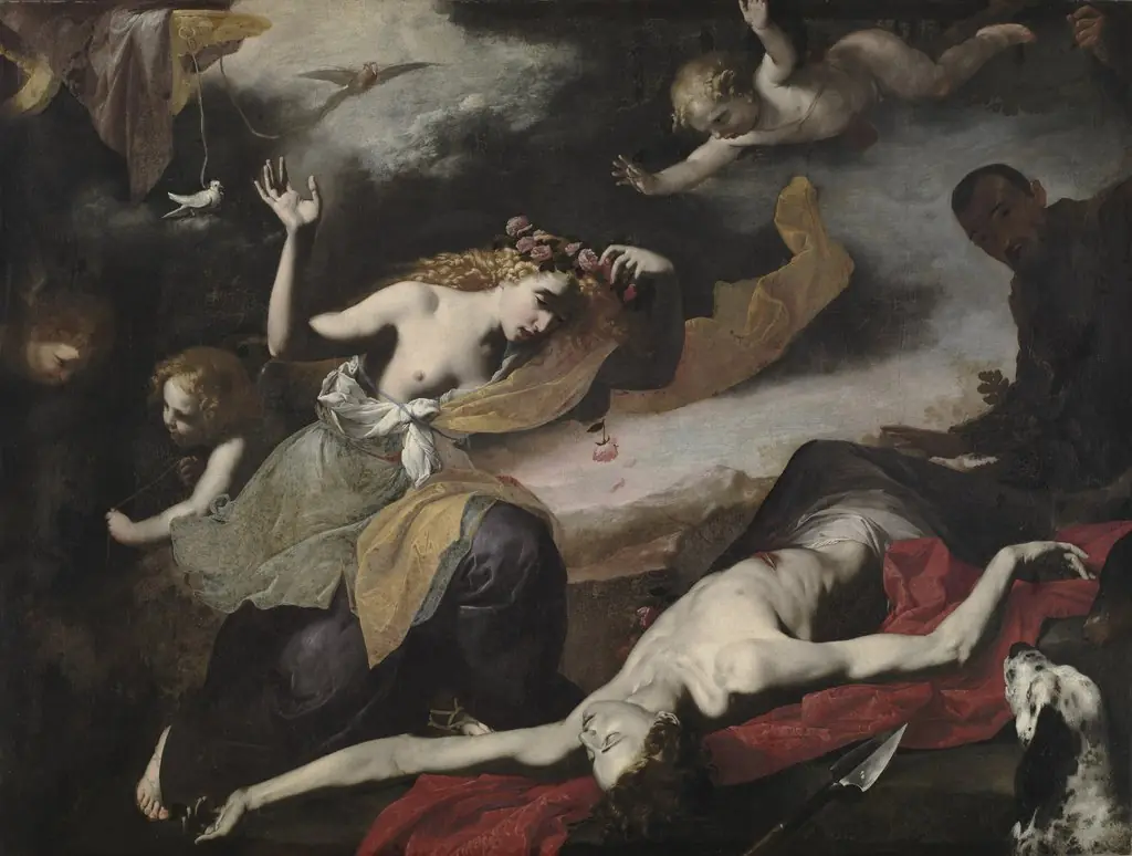 Venus Discovering the Dead Adonis, by Unknown