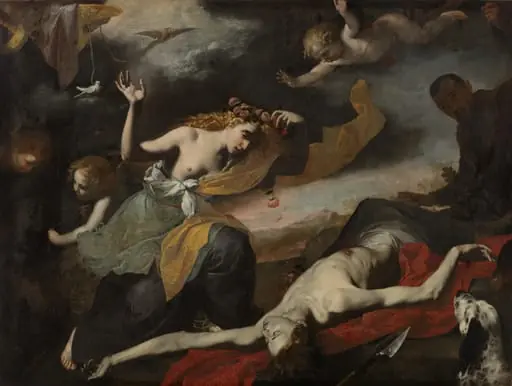Venus Discovering the Dead Adonis, by Unknown