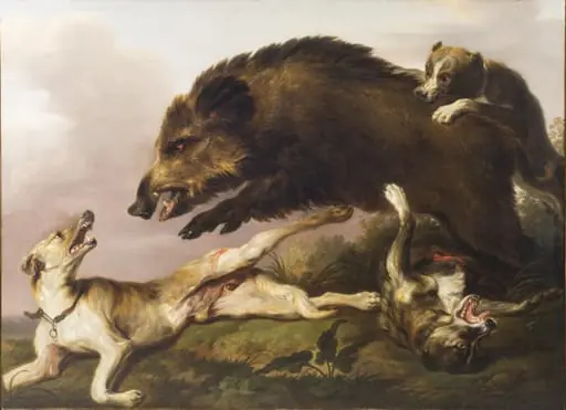 Vildsvinejagt, by Unknown