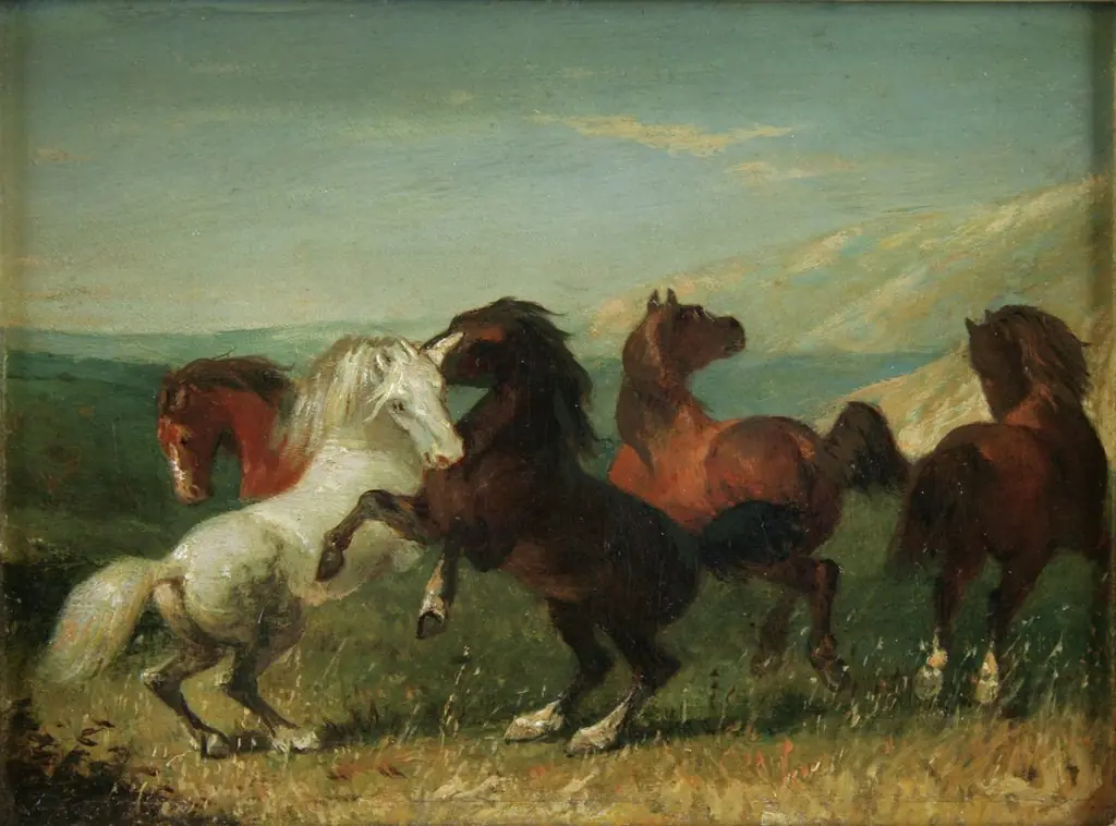 Wild Horses, by Unknown