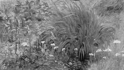 Wild Plants and Grass, by Unknown