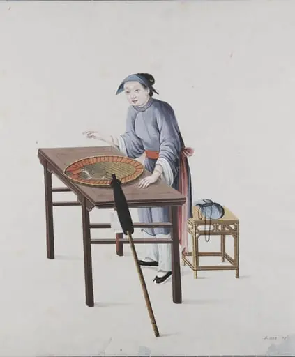 Woman Fortune Teller with Tortoise, by Unknown