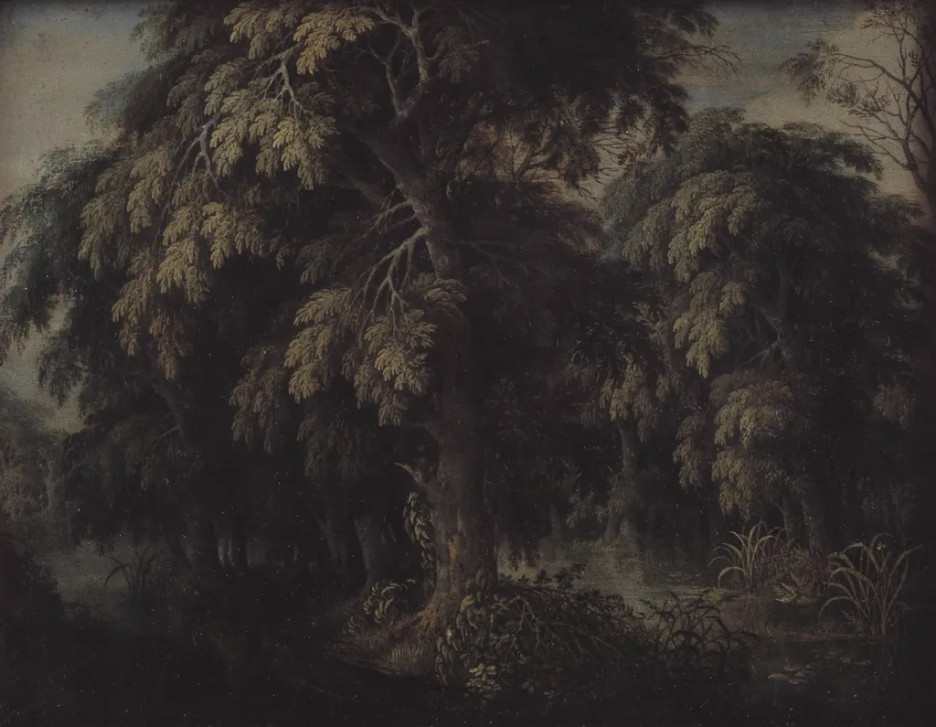 Wooded Landscape, by Unknown, unspecified, 1650
