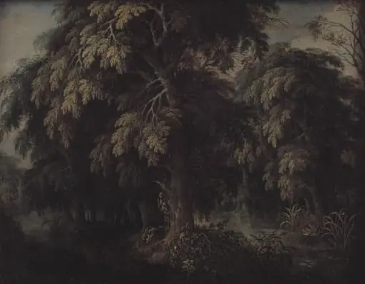 Wooded Landscape, by Unknown