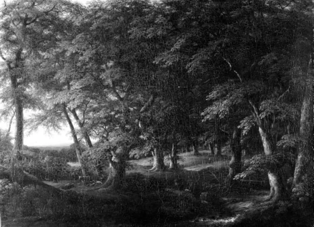 Woodland Scene from Southern Sweden, by Unknown, 1833