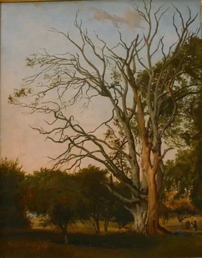 Woodland Scene with a Dead Tree, by Unknown