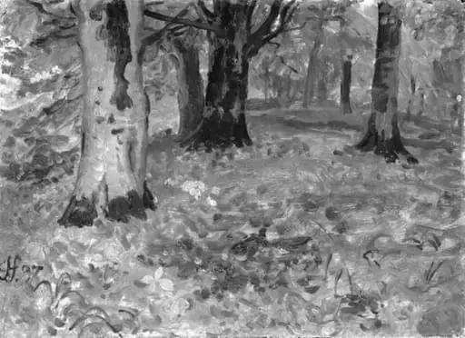 Woodscape. Autumn, by Unknown