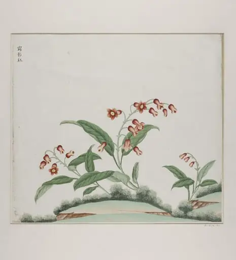 xiang ying hong, by Unknown