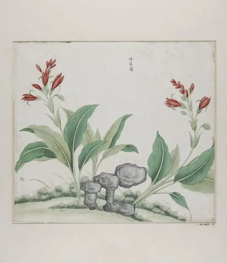Yi luo lan, by Unknown