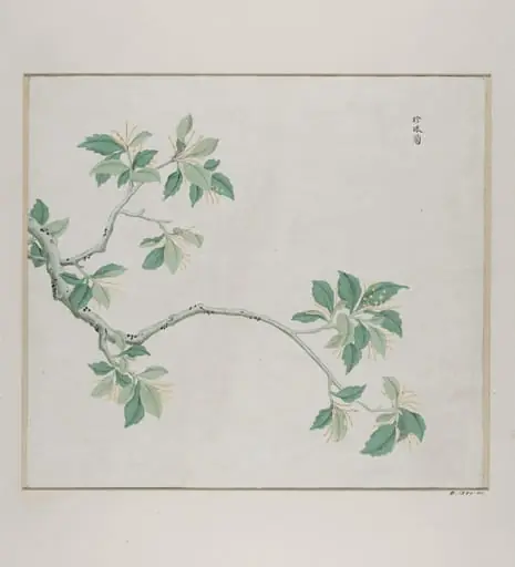Zhen Zhu lan, by Unknown