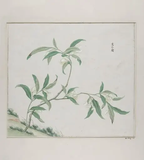 Zing zhao lan, by Unknown