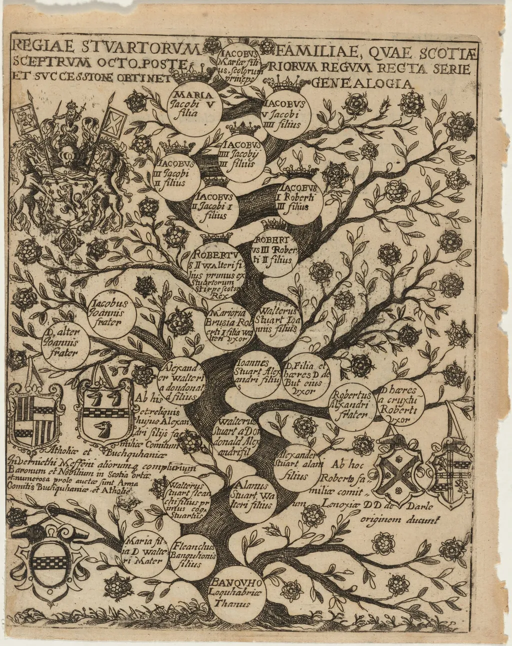 Family Tree of the Stuarts Stemming From Banquho, by Unknown 19th Century, ink, 1675