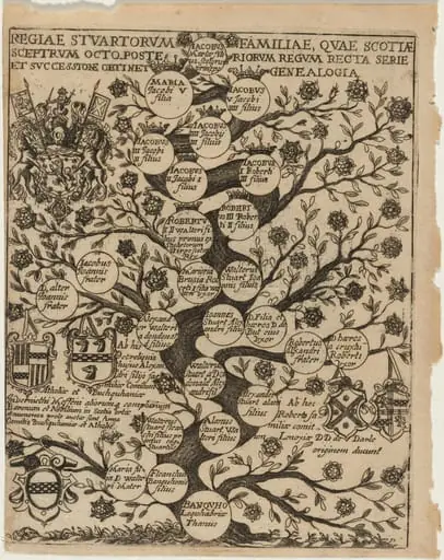 Family Tree of the Stuarts Stemming From Banquho, by Unknown 19th Century