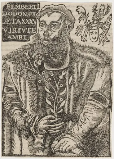 Rembret Dodoens, by Unknown 19th Century