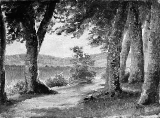 Study of a Wood, by Unknown artist