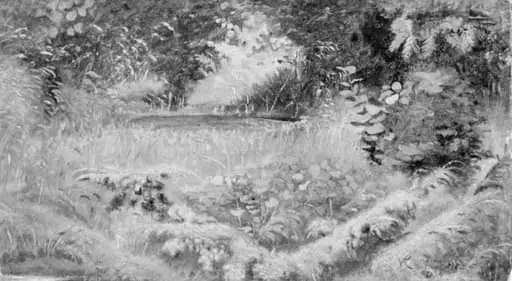 Woodland Lake, by Unknown artist