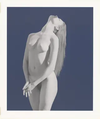 Untitled, by Robert Mapplethorpe