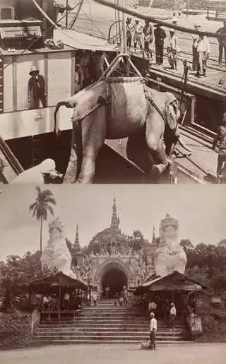 Untitled: (elephant being loaded onto a ship, recto); (steps and building, verso)