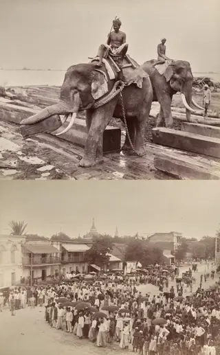 Untitled: (elephants moving blocks of wood, recto); (procession or crowd, verso)