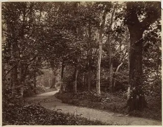 Untitled (Landscape)