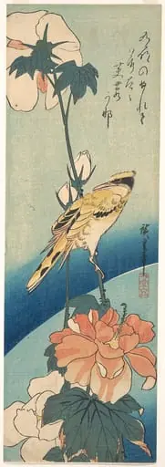 歌川広重画　扶養に高麗鶯|A Black-Naped Oriole on a Stem of Rose Mallow