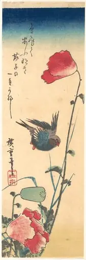 歌川広重画 芥子に瑠璃鳥|A Bluebird and Poppies, by Utagawa Hiroshige