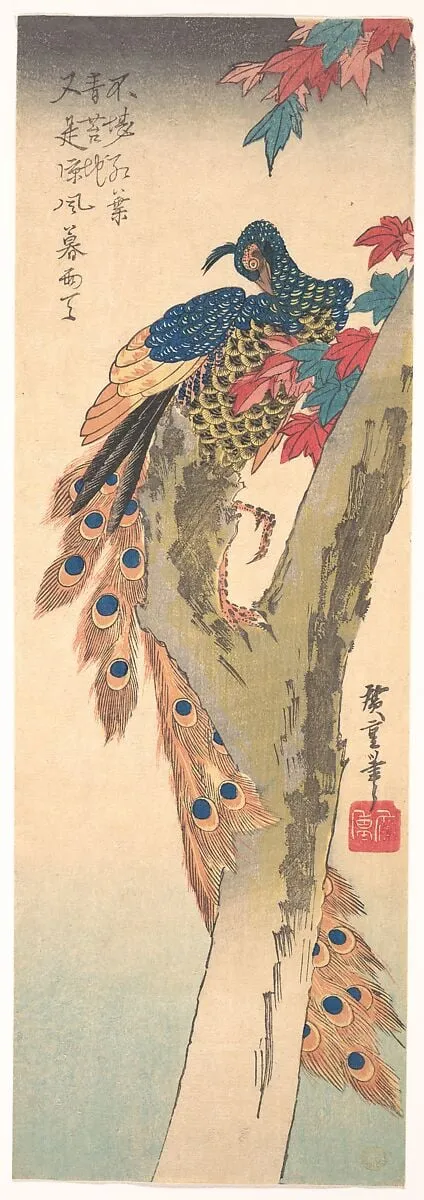 歌川広重画 楓に孔雀|A Peacock Perched on a Maple Tree, by Utagawa Hiroshige, ink, 1833
