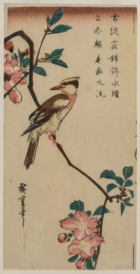 Black-Naped Oriole (Korean Warbler) on a Hall Crabapple, by Utagawa Hiroshige, 1834