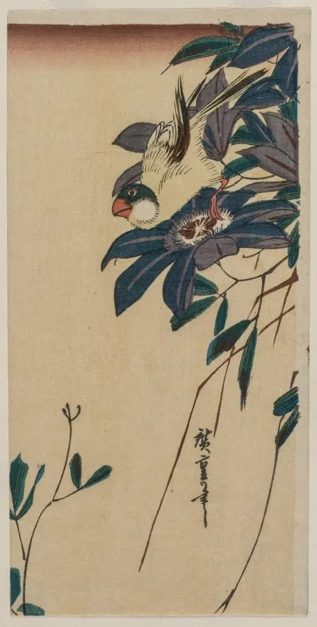 Grosbeak and Clematis, by Utagawa Hiroshige, 1834