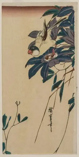 Grosbeak and Clematis, by Utagawa Hiroshige