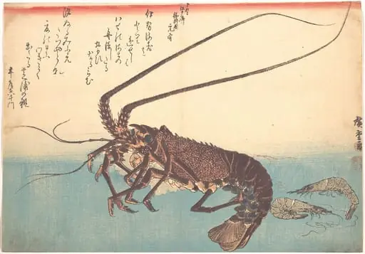 魚づくし 伊勢海老 芝蝦|Ise-ebi and Shiba-ebi, from the series Uozukushi (Every Variety of Fish), by Utagawa Hiroshige