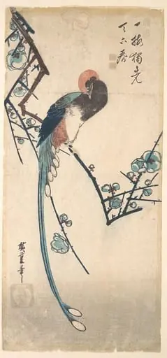 梅に三光鳥|Long Tailed Bird, by Utagawa Hiroshige