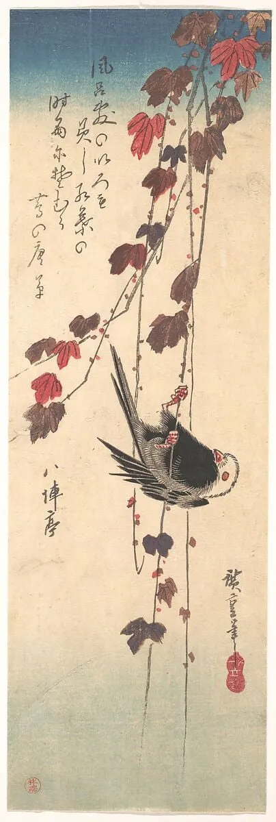 歌川広重画 蔦に柄長鳥|Long-tailed Tit on Autumn Ivy, by Utagawa Hiroshige, ink, 1835