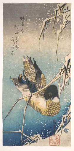 歌川広重画 雪中芦に鴨|Mallard and Snow-covered Reeds, by Utagawa Hiroshige