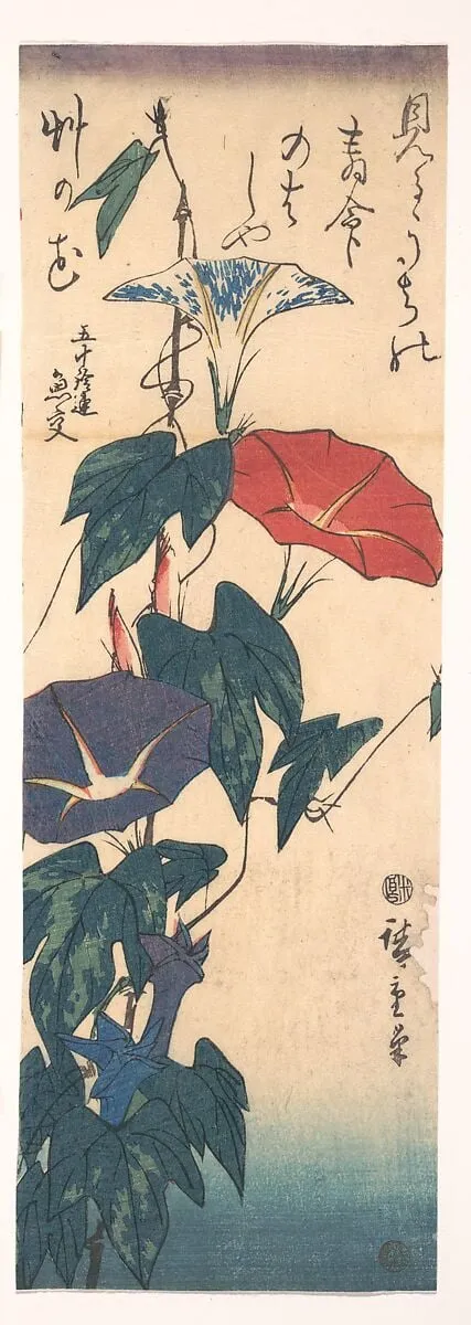 歌川広重画 朝顔|Morning Glories, by Utagawa Hiroshige, ink, 1843