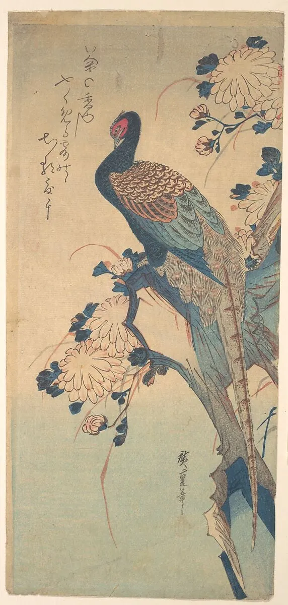 歌川広重画 菊に雉|Pheasant with Chrysanthemums, by Utagawa Hiroshige, ink, 1835