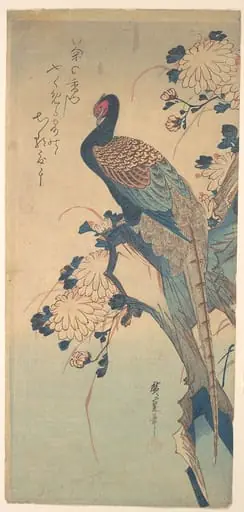 歌川広重画 菊に雉|Pheasant with Chrysanthemums, by Utagawa Hiroshige