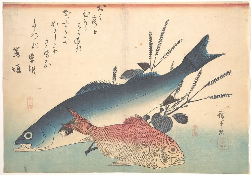 魚づくし いなだ ふぐに梅|Suzuki and Kinmedai Fish from the series Uozukushi (Every Variety of Fish), by Utagawa Hiroshige, ink, 1844