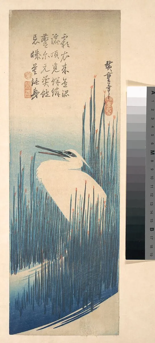 歌川広重画 芦に鷺|White Heron Standing among Reeds, by Utagawa Hiroshige, ink, 1835