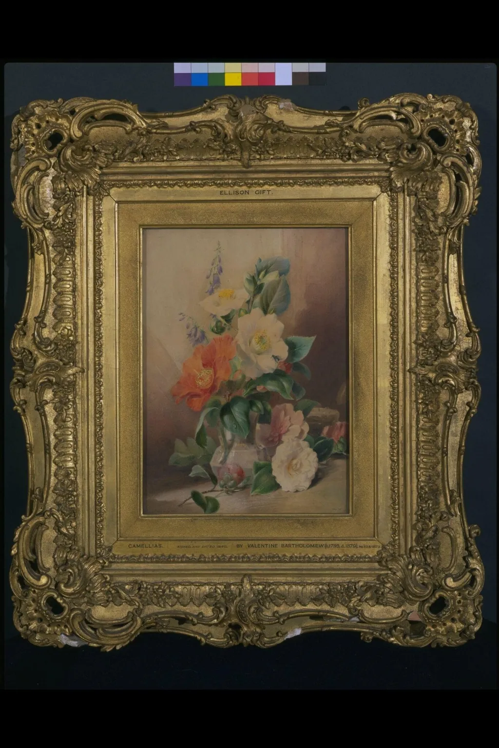 Camellias, by Valentine Bartholomew, watercolor, 1840