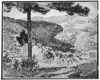 Valley with Fir (Shade on the Mountain)